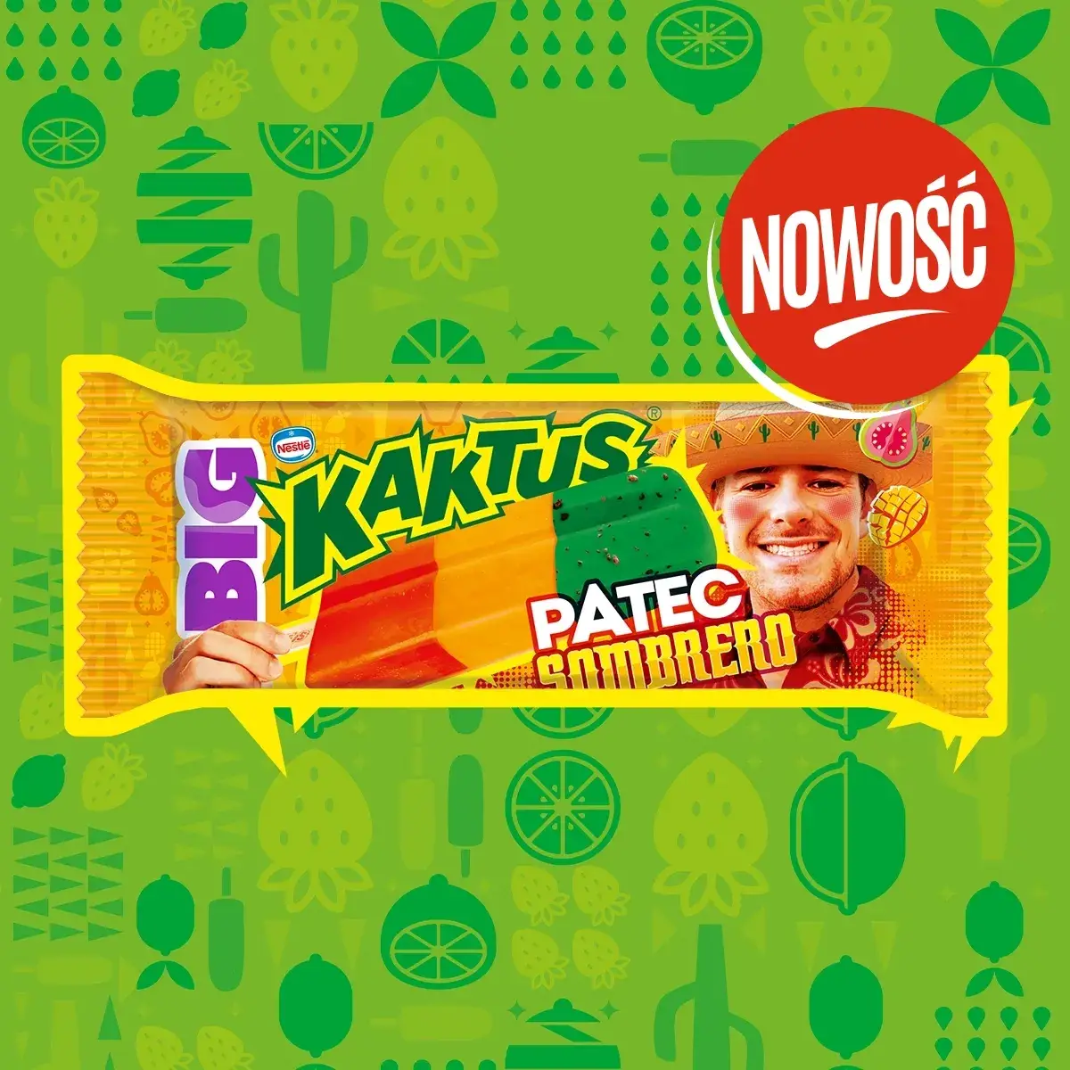 BIG Kaktus Sombrero | Froneri